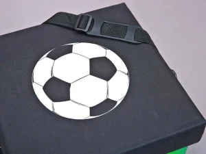 Shop Fabo Opbergdozen Koeltas, Kruk, Draagriem, Zwart, Wit, Groen. Opbergaccessoire