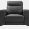 Store Fauteuil Van Leer Montaner - Zwart Fauteuil Leer