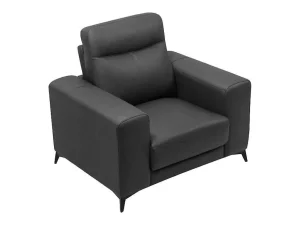 Store Fauteuil Van Leer Montaner - Zwart Fauteuil Leer