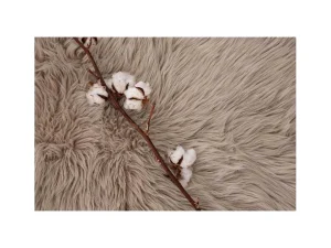 Best Katy Lamsvel Geimiteerd 90X60Cm Beige. Huistextiel