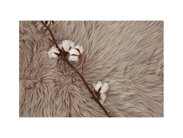 Best Katy Lamsvel Geimiteerd 90X60Cm Beige. Huistextiel