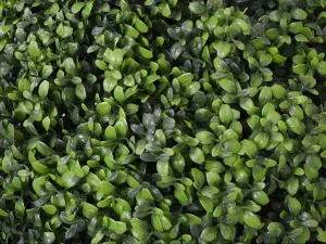 Hot Kunstmatige Struik Mcw-L77, Groen Kunstplant