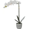 Store Kunstorchidee Met Pot Van Cement - H60 - Wit - Flora Kunstplant