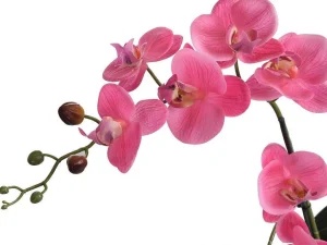 Clearance Kunstorchidee Met Pot Van Cement - H55 X B30 Cm - Roze - Riosane Kunstplant