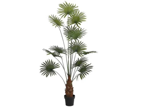 Clearance Kunstpalm Met Pot - H180 - Matera Kunstplant