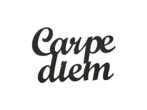 Best Metalen Decoratie Carpediem, Zwart, 50X1,5X38 Cm, Decoratieve Wandplaat