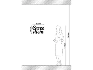 Best Metalen Decoratie Carpediem, Zwart, 50X1,5X38 Cm, Decoratieve Wandplaat