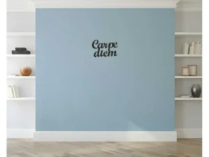 Best Metalen Decoratie Carpediem, Zwart, 50X1,5X38 Cm, Decoratieve Wandplaat