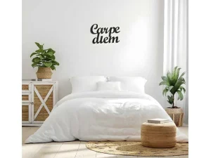 Best Metalen Decoratie Carpediem, Zwart, 50X1,5X38 Cm, Decoratieve Wandplaat