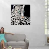 Online Olieverfschilderij Witte Luipaard Handgeschilderd Schilderij