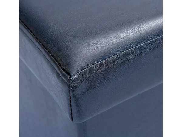 Discount Sanne Opbergdozen Voetenbank Met Deksel, Zwart. Opbergaccessoire