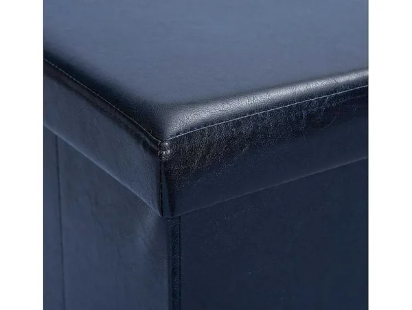 Discount Sanne Opbergdozen Voetenbank Met Deksel, Zwart. Opbergaccessoire