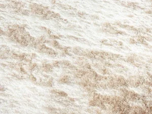 Hot Shaggy Langpolig, Zacht Vloerkleed - 200 X 290 Cm - Beige - Dolce Woonkamertapijt