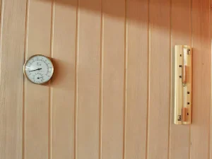 Flash Sale Traditionele Sauna 4/5 Persoons Van Faborg - 200 X 180 X 200 Cm Finse Sauna