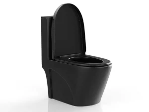 Cheap Zwarte Matte Wc Om Te Plaatsen Van Keramiek - Nagilam Staand Toilet